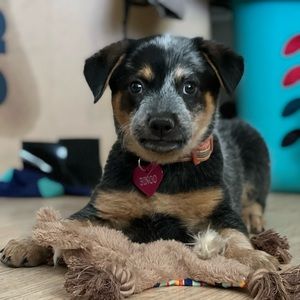 Meet your Posher, Mae